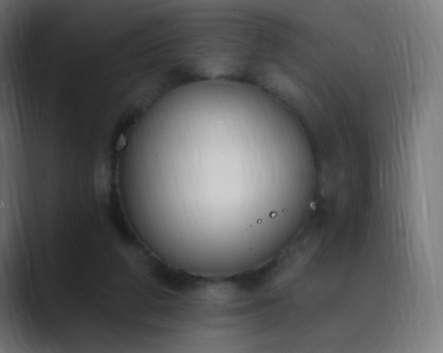 X0000089830210200706281218