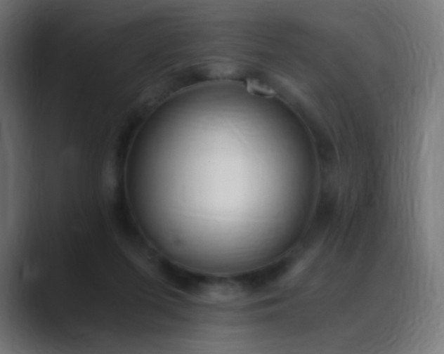 X0000089830215200706281218