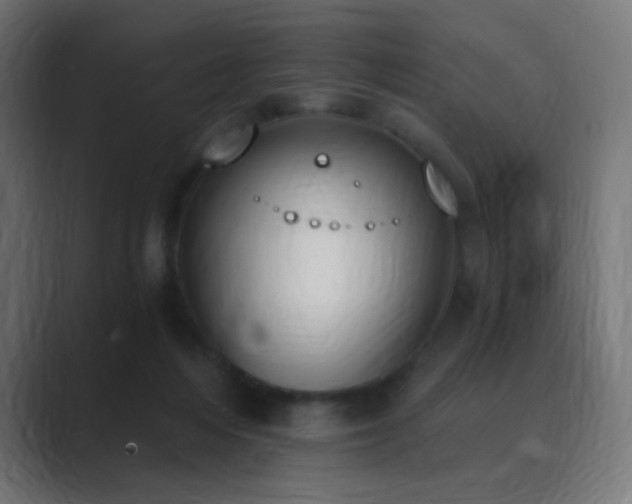 X0000089830216200706281218