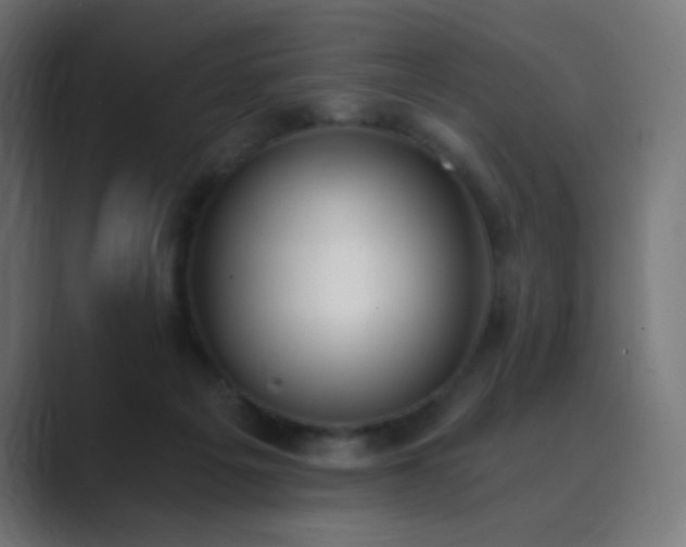 X0000089830217200706281218
