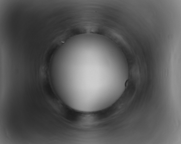 X0000089830218200706281218