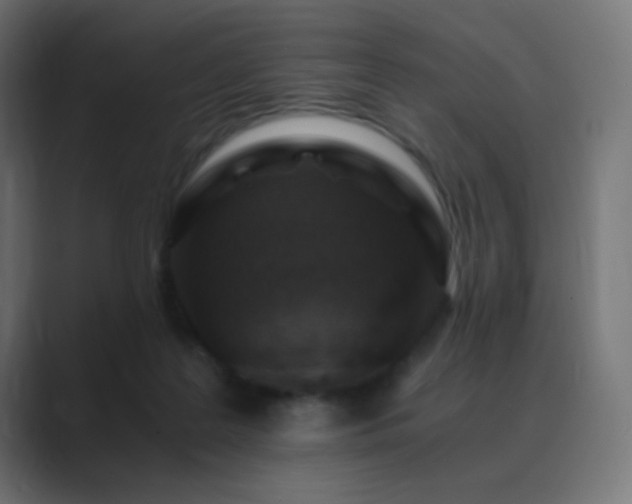 X0000089830219200706281218