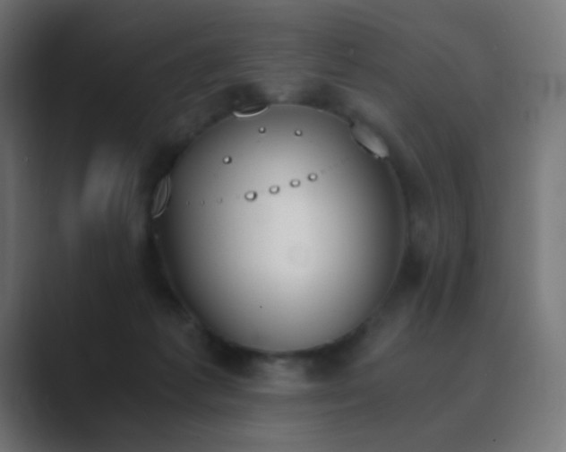 X0000089830221200706281218