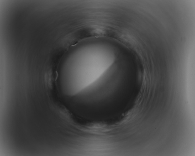 X0000089830223200706281218