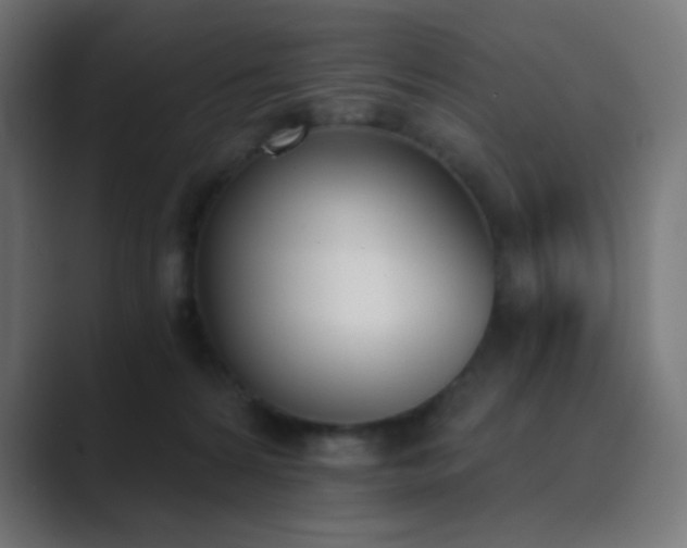 X0000089830224200706281218
