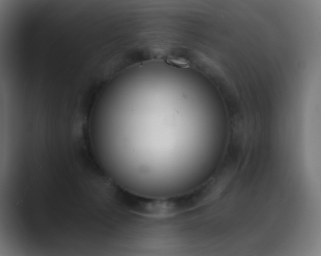 X0000089830225200706281218