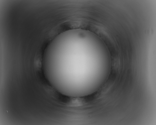 X0000089830226200706281218