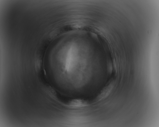 X0000089830227200706281218