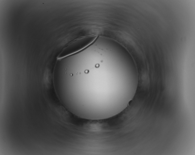 X0000089830228200706281218