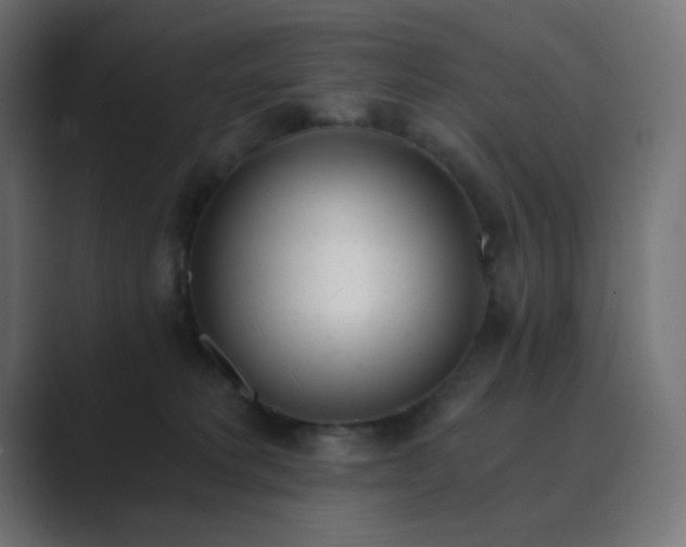 X0000089830229200706281218
