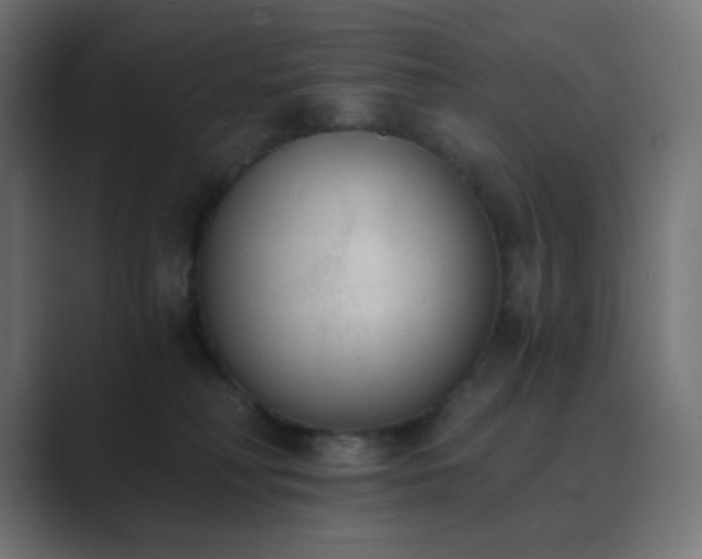 X0000089830230200706281218