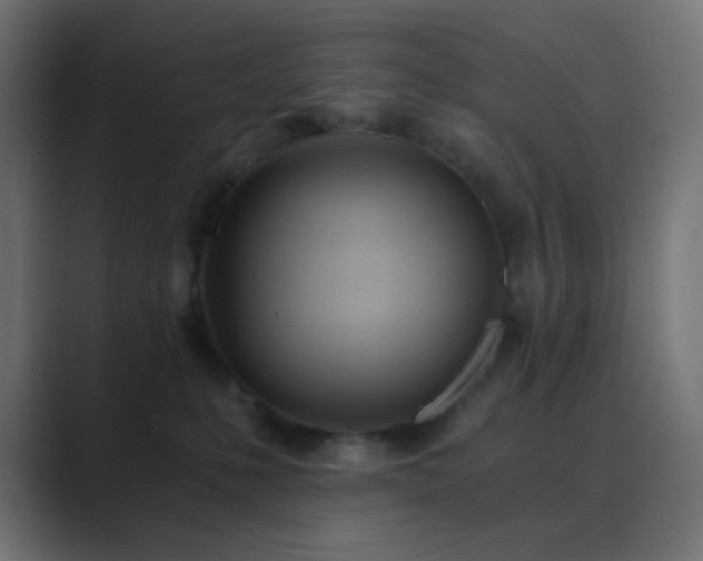 X0000089830231200706281218