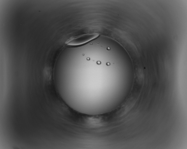 X0000089830232200706281218