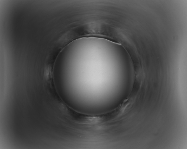 X0000089830233200706281218