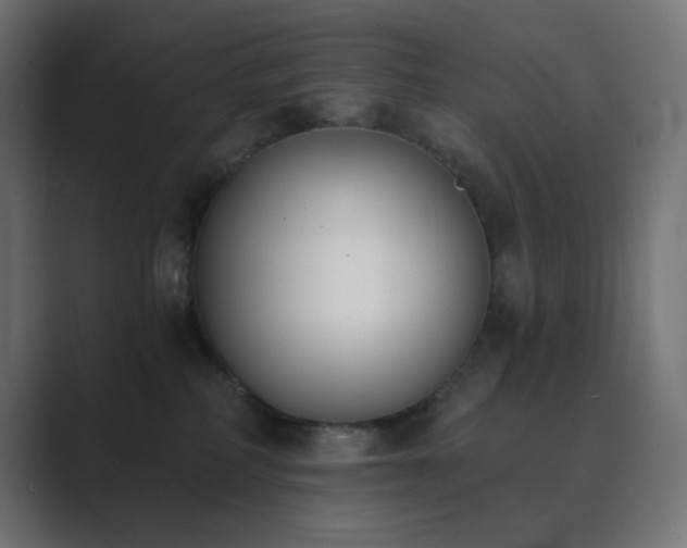 X0000089830234200706281218