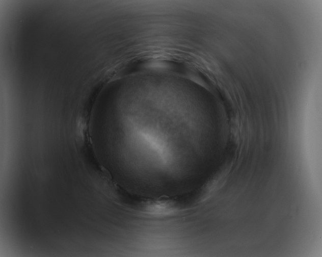 X0000089830235200706281218