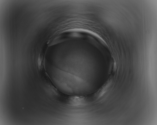 X0000089830239200706281217