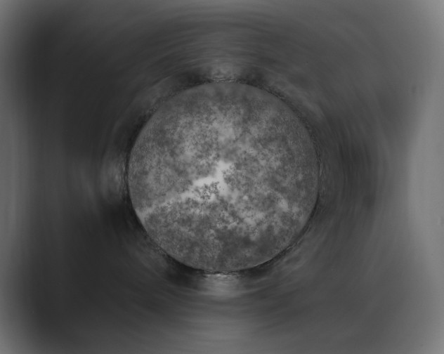 X0000089830240200706281217