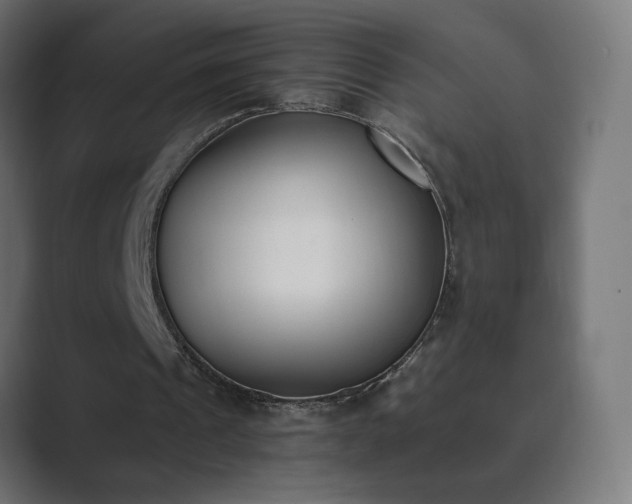 X0000089830241200706281217