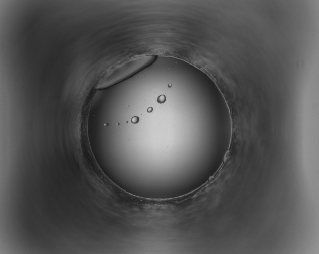 X0000089830242200706281217