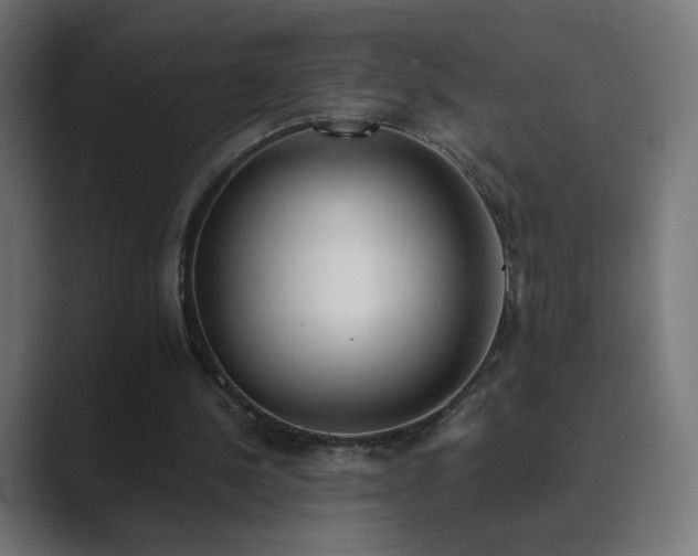 X0000089830244200706281217