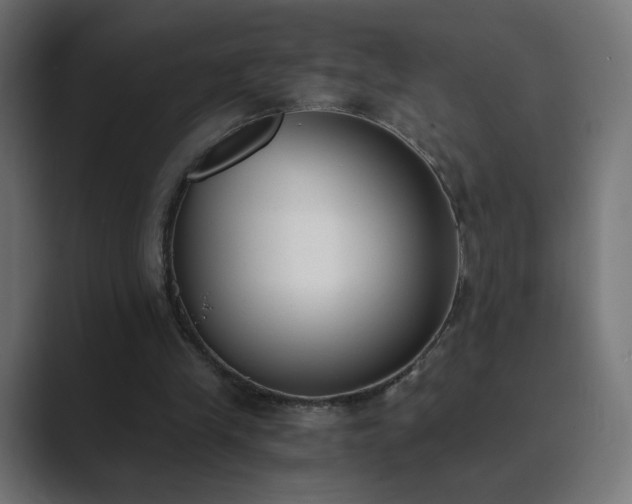 X0000089830245200706281217