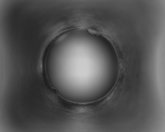 X0000089830246200706281217