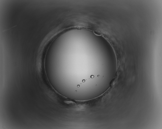 X0000089830247200706281217