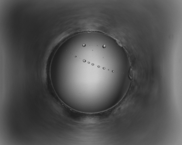 X0000089830248200706281217