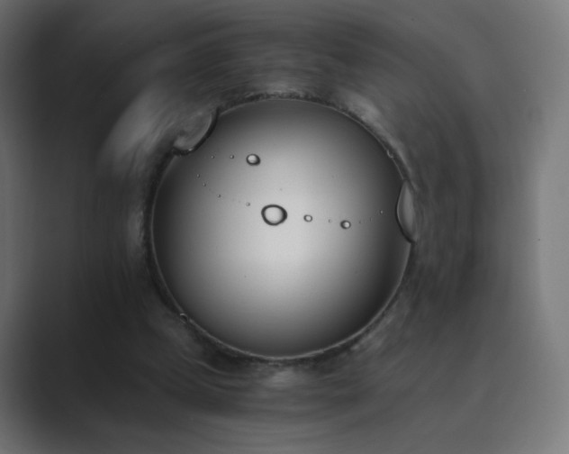 X0000089830249200706281217