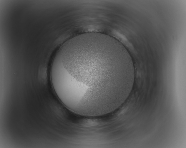 X0000089830250200706281217