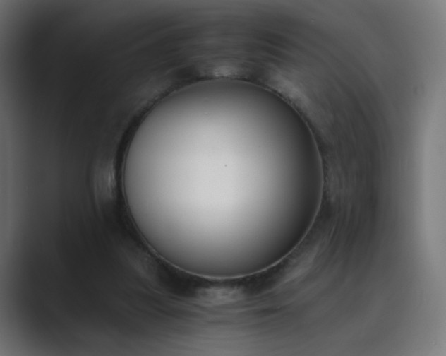 X0000089830251200706281217