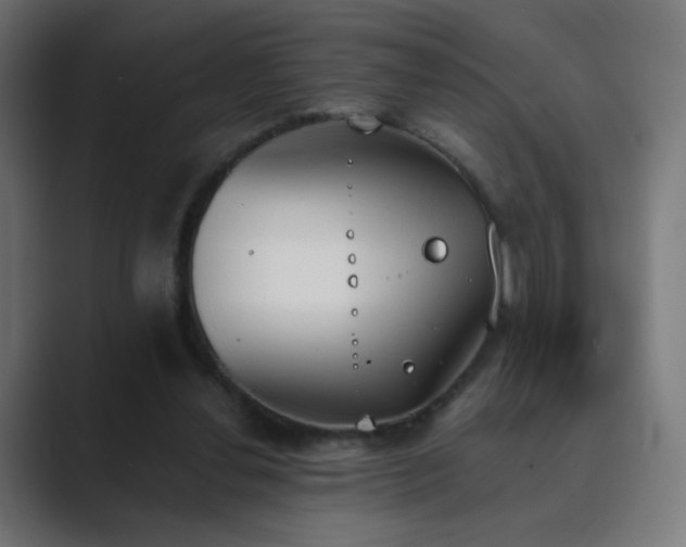 X0000089830252200706281217