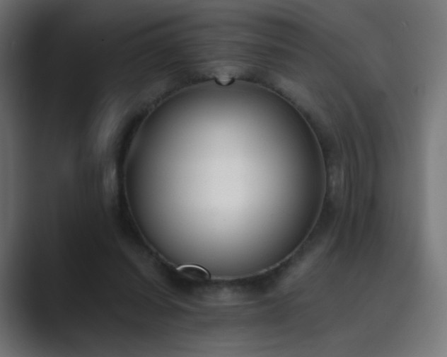 X0000089830254200706281217