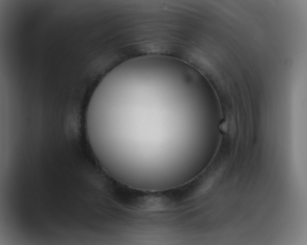 X0000089830255200706281217