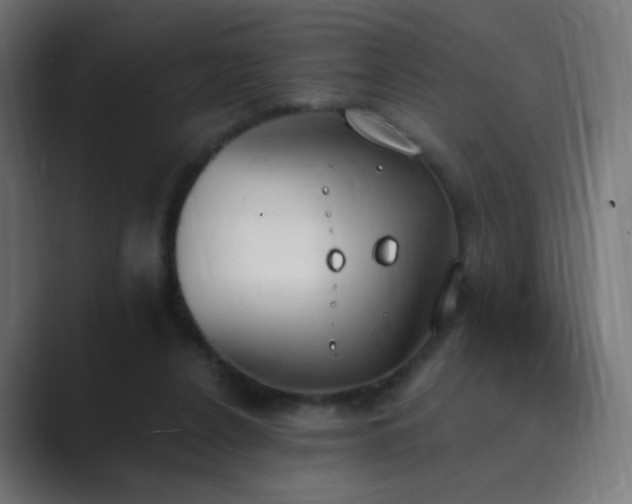 X0000089830256200706281217