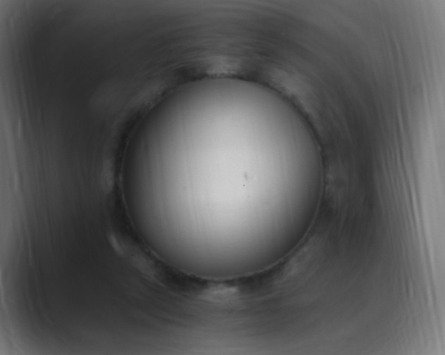 X0000089830257200706281217