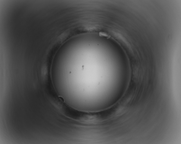 X0000089830260200706281217