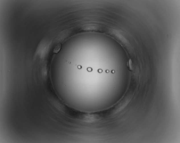 X0000089830261200706281217