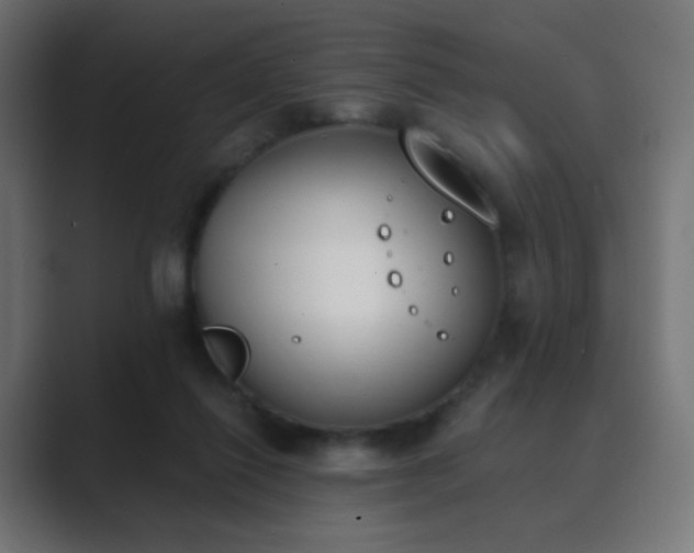 X0000089830262200706281217