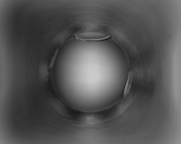 X0000089830264200706281217
