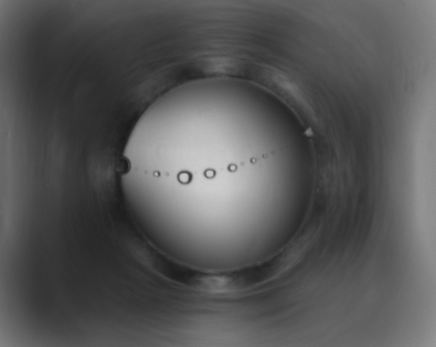 X0000089830265200706281217