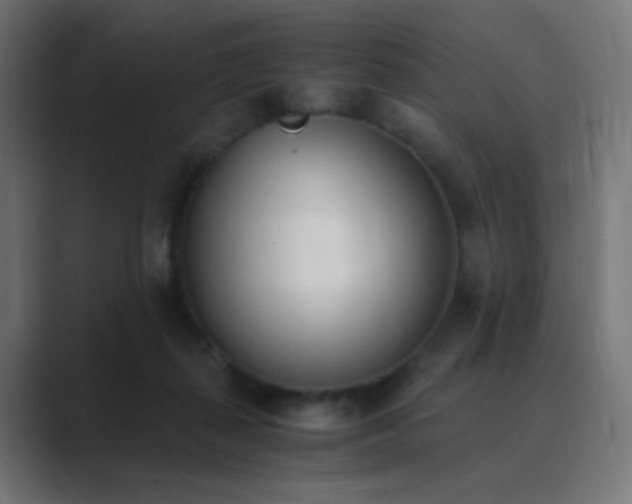 X0000089830267200706281217