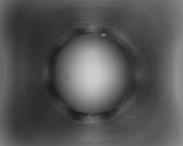 X0000089830270200706281217