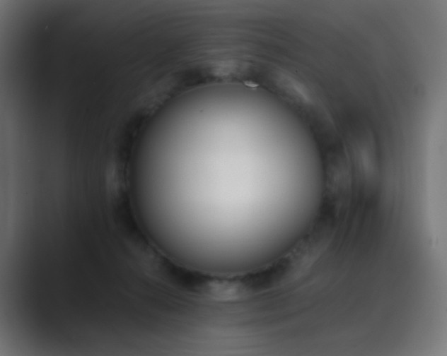 X0000089830272200706281217