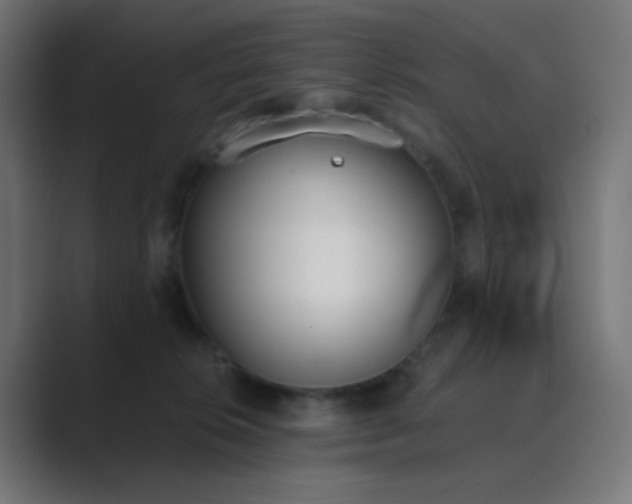 X0000089830276200706281217