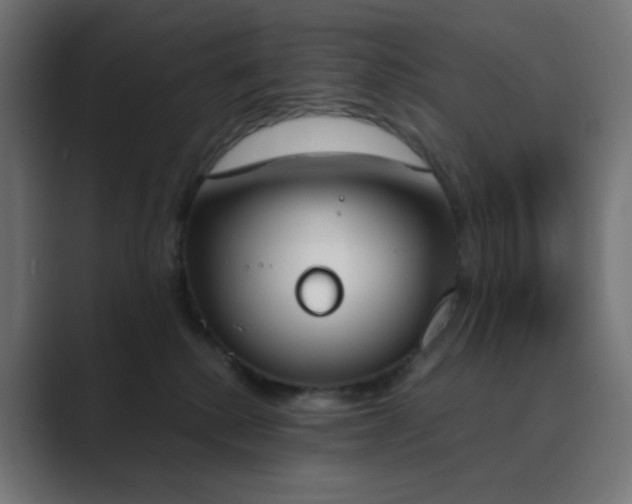 X0000089830280200706281217