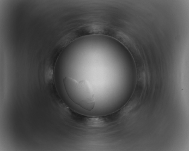 X0000089830281200706281217