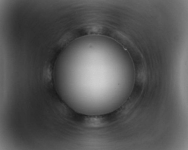 X0000089830282200706281217
