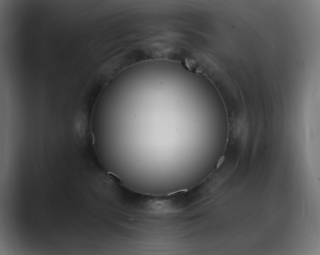X0000089830283200706281217